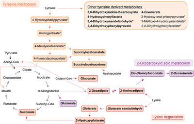 Online breath analysis with SESI/HRMS for metabolic signatures in children with allergic asthma